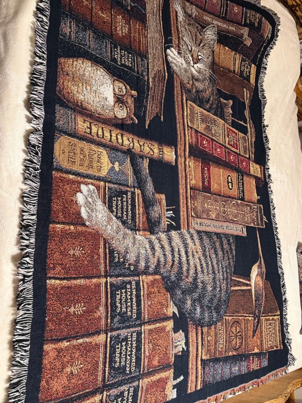 Pure Country Weavers. Frederick The Literate Cat Woven Tapestry Throw Blanket